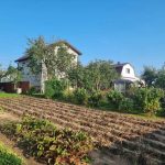 Miért a csupasz talaj a legnagyobb hiba: egyszerű elv a könnyű kertészkedéshez miert-a-csupasz-talaj-a-legnagyobb-hiba-egyszeru-elv-a.jpg